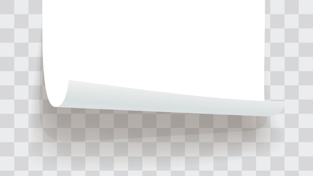 a paper bottom rolled on template back
