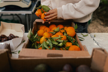 Close up of hands buying citrus on the local Farmers market. Customer Shopping At Farmers Market...