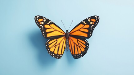Fototapeta premium Colorful butterfly perched on blue surface, vibrant orange and black wings open wide, perfect for nature-themed designs.