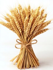 Fototapeta premium Sheaf of wheat tied with twine on white background
