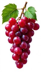 Fototapeta premium A bountiful bunch of ripe red grapes, glistening, isolated on white , leaves, glistening, fresh
