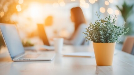 Fototapeta premium Woman using laptop in bright office, relaxed atmosphere, potted plant nearby, ideal for remote work or productivity themes.