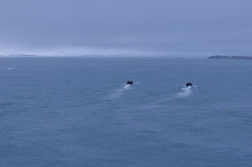 Obraz premium Characteristic landscape of the Svalbard Islands