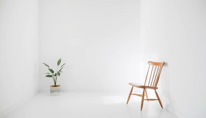 Minimalist Room Interior Design: A Single Chair and Plant in a White Room