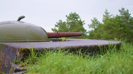 Close-up shot of a weathered green turret with a rusted barrel emerging from a fortified concrete bunker, partially covered by overgrown grass and moss, blending into the surrounding dense forest.