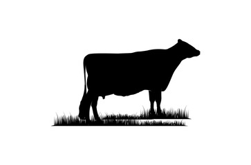 Cattle Angus Cow  Grass silhouette livestock farm 