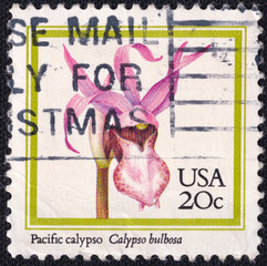Pacific calypso (Calypso bulbosa), a delicate wild orchid, featured on a U.S. postage stamp issued...