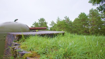 A weathered green turret with a rusted barrel emerges from a fortified concrete bunker, partially covered by overgrown grass and moss, blending into the surrounding dense forest.
