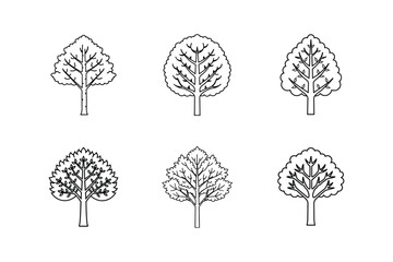 aspen tree line art vector illustration