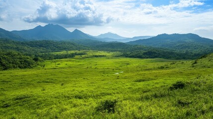 Obraz premium Lush green valley, mountains, blue sky, clouds.