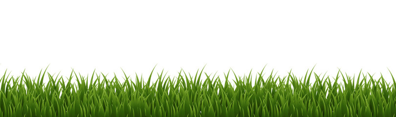 Obraz premium Green Grass Border With White Background