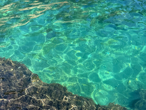 Sea transparent water with algae