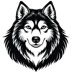 Black and White Alaskan Malamute Head – Vector Illustration Isolated on White Background for Pet, Dog Breed, and Animal Design Use, Malamute Head Vector, Alaskan Dog Face, Pet Breed Illustration
