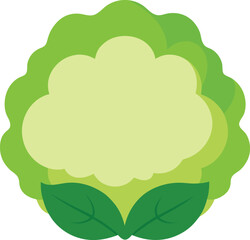 Cute Cauliflower Vector Illustration
