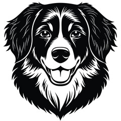 Silhouette of Bernese Mountain Dog Head – Bold Black Vector Illustration Isolated on White Background for Pet and Breed Design Use, Bernese Dog Head Silhouette, Mountain Dog Vector, Pet Face Icon
