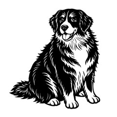 Black and White Bernese Mountain Dog Sitting – Vector Illustration Isolated on White Background for Pet and Breed Artwork, Bernese Dog Vector, Mountain Pet Art, Sitting Dog Illustration
