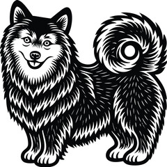 Black and White Husky Dog – Vector Illustration Isolated on White Background for Pet, Breed, and Animal Design Concepts, 
