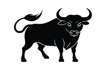 bull isolated on white