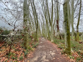 Gallecs 