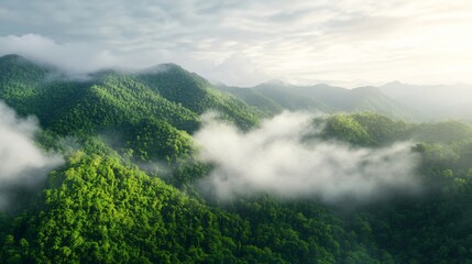 Lush green mountains shrouded in mist, serene landscape with gentle clouds, perfect for nature-themed projects.