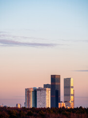 Fototapeta premium modern skyscrapers over city park at winter sunset