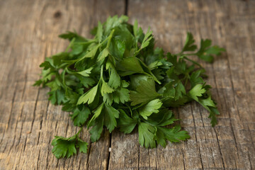 Fresh Green Parsley Tops on a Rustic Wooden Background