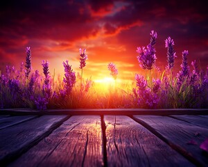 A field of lavender with a lovely sunset