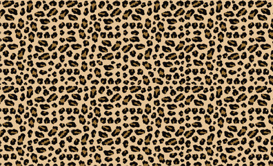 Leopard or jaguar texture print. Leopard print background