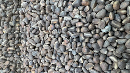 Pine nut kernels are scattered.