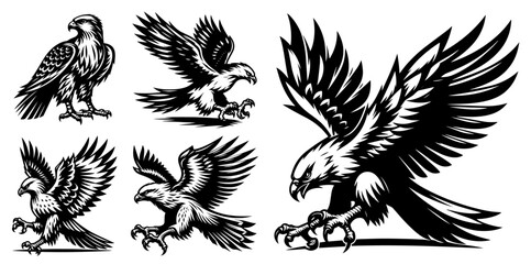 eagle illustration set with dynamic flight and hunting poses vector