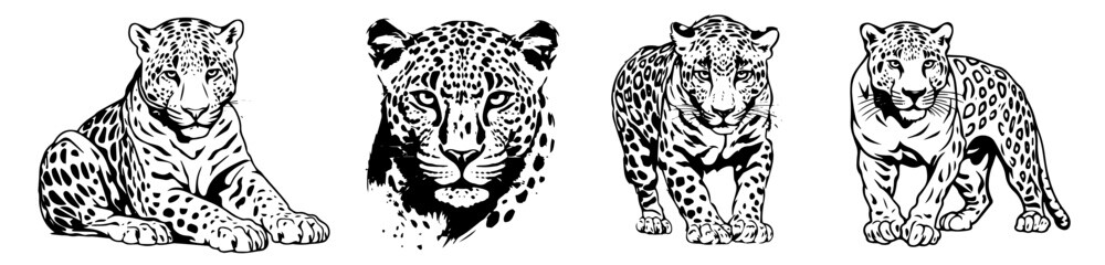 leopard and jaguar poses with detailed fur patterns
