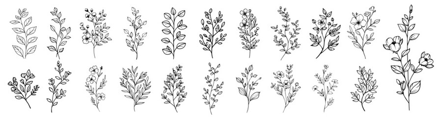 botanical twigs with small flowers and leaves in elegant line style