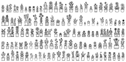 large collection of houseplants in pots with hand drawn botanical style