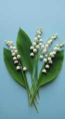 Delicate lily of the valley flowers arranged against a light blue background in a vibrant and fresh display