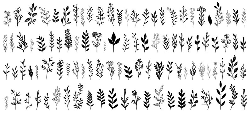 hand drawn botanical elements collection black and white floral leaf illustration set