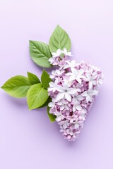 Lush lilac blooms accompanied by vibrant green leaves on a soft lavender backdrop