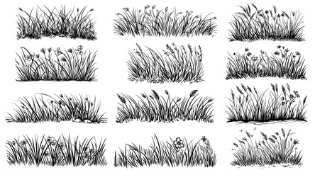 grass border collection with natural outlines