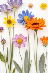 Colorful arrangement of fresh flowers on a light surface showcasing various shapes and hues