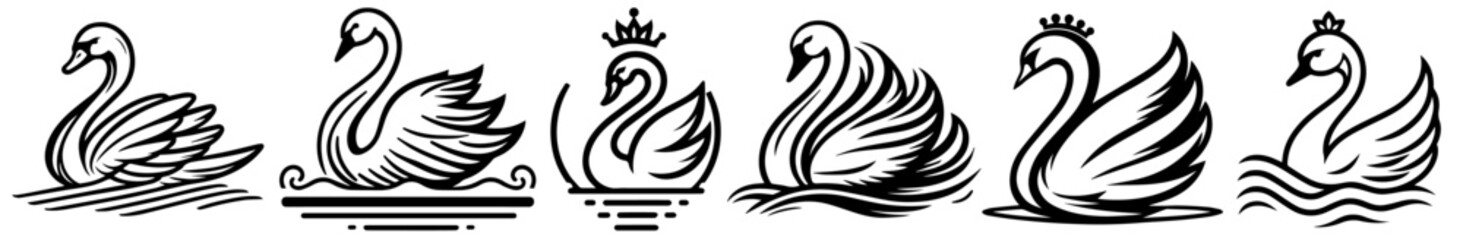 stylized black swans in elegant line compositions