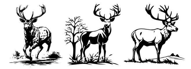 deer with antlers forest black vector silhouette