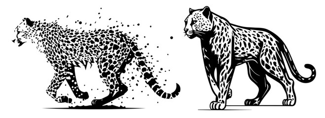 disintegrating and intact leopards illustration © Aisha Kudorova