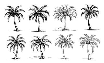 Fototapeta premium set of tropical palm tree black decorative vector