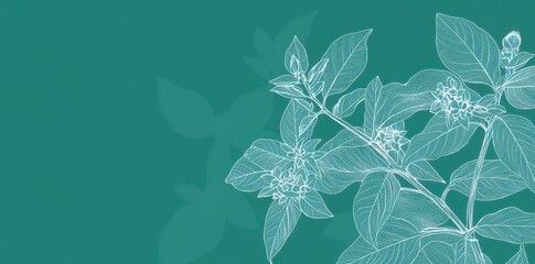 Detailed floral line drawing featuring leaves buds and blooms