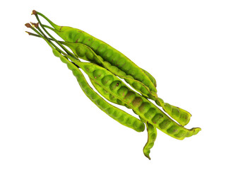 Fresh Petai Pods (Parkia Speciosa) Isolated on White Background. Popular Southeast Asian Stink...