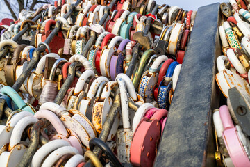 many closed locks on Tree of Love in Kostroma city