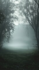 Naklejka premium Eerie low-lying mist envelops forest at dawn, creating a haunting and dreamlike atmosphere in nature