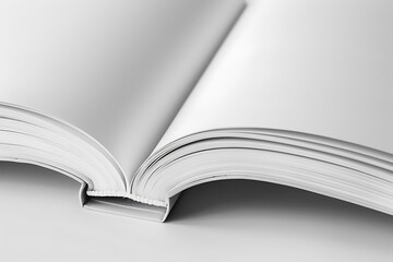 Open book isolated on white background. 3d illustration. Mock-up.