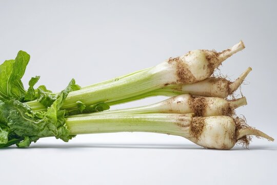 Celtuce Lettuce at Farmers Market. Organic Vegetable Food Concept on White Background