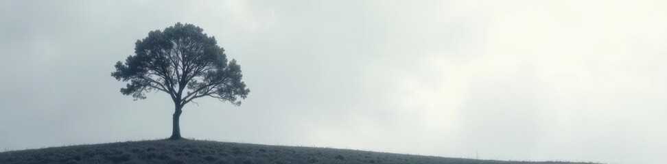 A solitary tree branch stretching towards a grey sky, minimalist, sky