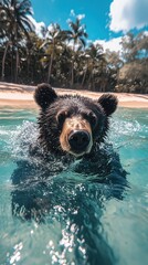 Black bear dives into the clear sea near a sandy beach lined with palm trees under a bright sun